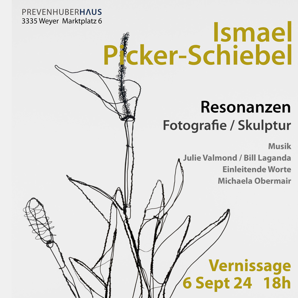 Fotografie und Skulptur | RESONANZEN, Ismael Picker-Schiebel